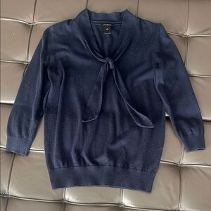 Ann Taylor Blue Cowl Neck Sweater with Turtleneck Style